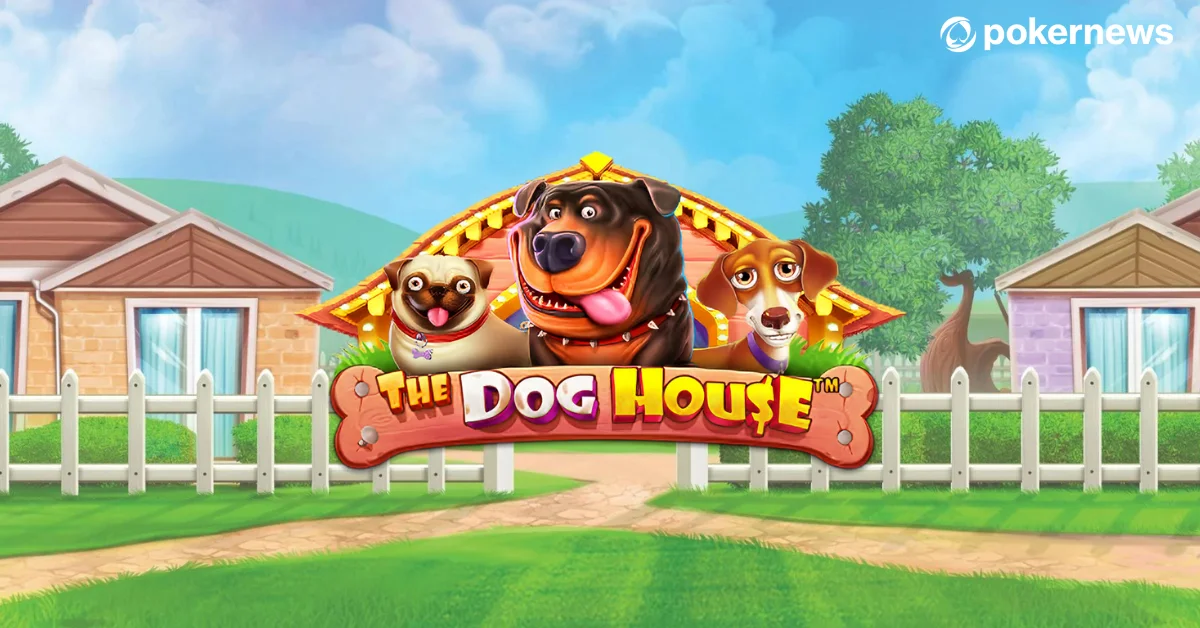 The Dog House Dog